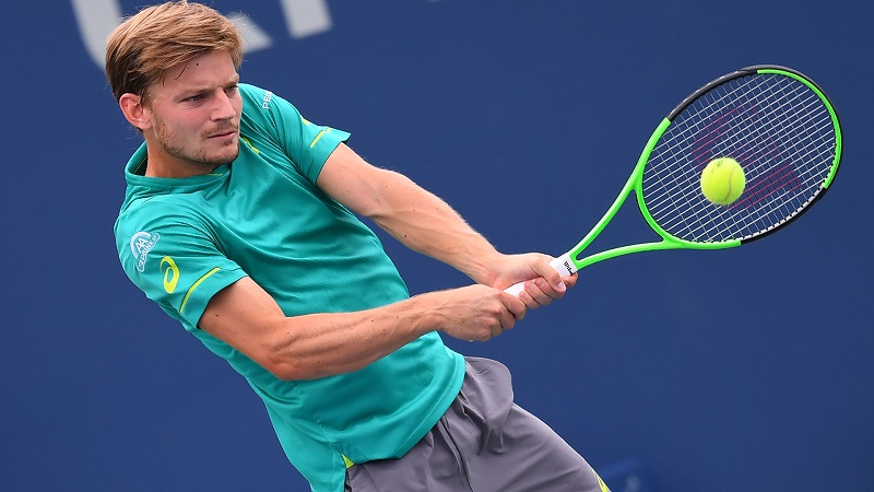 Goffin shocks Federer, faces Dimitrov in ATP Finals decider