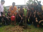 kj tanam pokok2