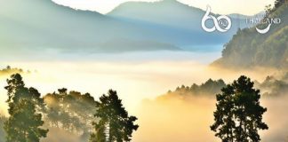 Chiang Mai to host inaugural World Mountain and Trail Running Championships