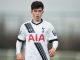 Tottenham academy product joins Mariners