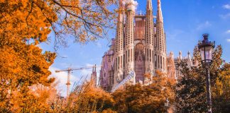 Barcelona, a city that loves sports