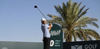 On-a-roll Denwit shares lead