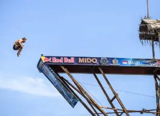 Sunshine, high stakes and home heroes: Red Bull Cliff Diving heads to Florida for St. Petersburg debut