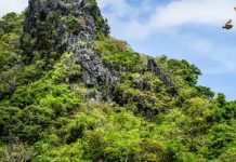 Red Bull Cliff Diving World Series opens 2026 season in Bali