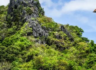 Red Bull Cliff Diving World Series opens 2026 season in Bali