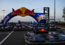 Verstappen to take on 100 drivers in ‘Max vs 100’, the worldâs biggest go-kart race