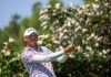 SJM Macao Open: Late stumble by Im opens the door for Wang and chasing pack